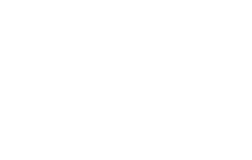 icon Racing Master